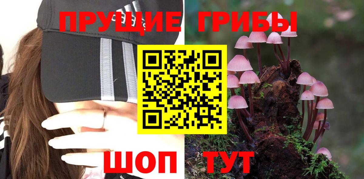 Псилоцибиновые грибы Psilocybe  купить наркотик  Вход с VPN  Биробиджан  Псилоцибиновые грибы Psilocybine cubensis 
